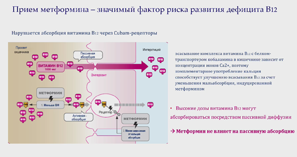 миф6.png миф6.png