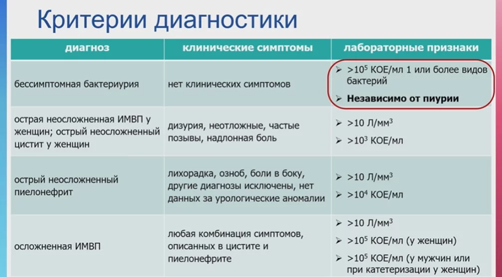 Скриншот 22-07-2024 110900.jpg