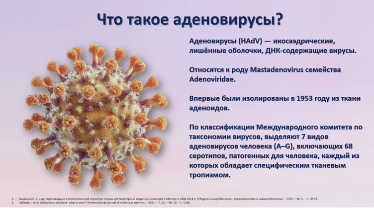 аденовирус.png аденовирус.png